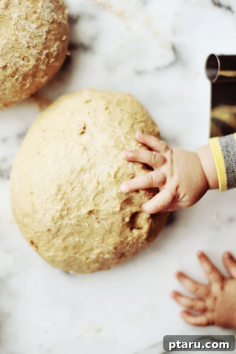 Hearty Oat & Whole Wheat Loaf 7 A beautifully golden-brown loaf of baked Oatmeal Brown Bread.