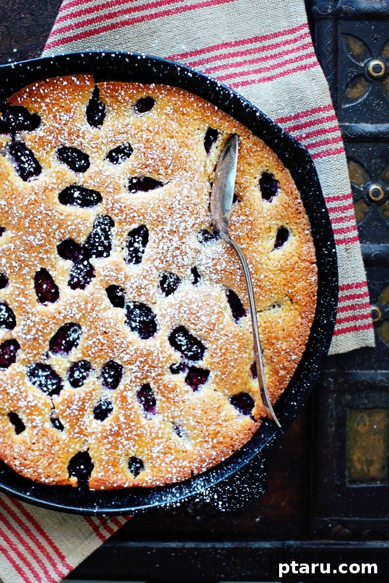 Rustic Blackberry Buckle 4 A slice of berry buckle, still warm in the cast iron skillet, topped with a melting scoop of vanilla ice cream, ready to be enjoyed.