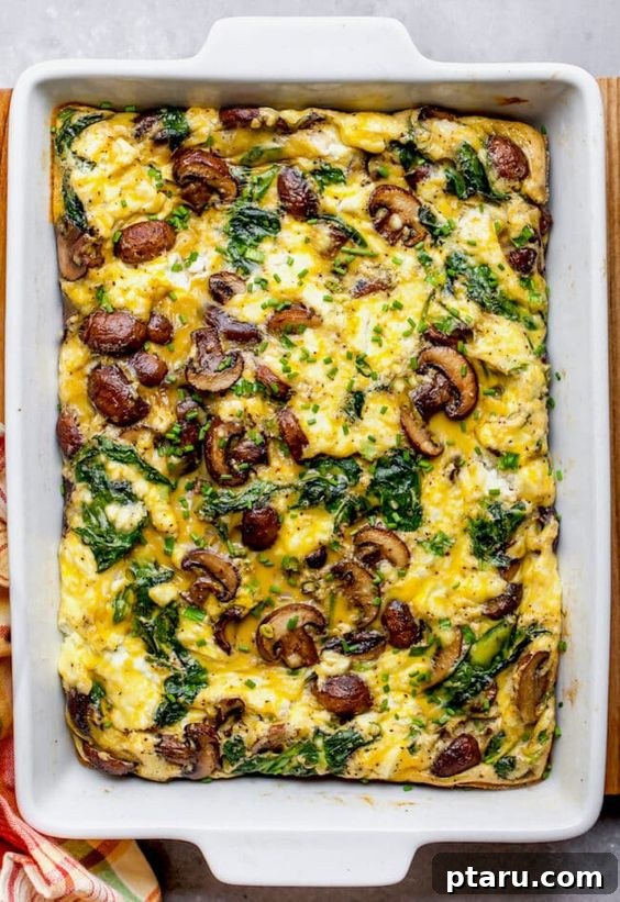Top 37 Mediterranean Casseroles Effortlessly Delicious 35 Umami-rich Spinach Mushroom Egg Bake
