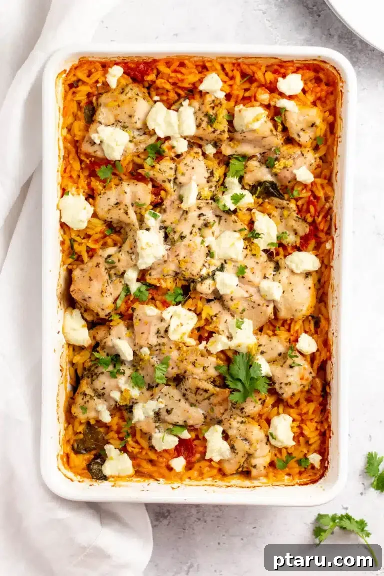 Top 37 Mediterranean Casseroles Effortlessly Delicious 8 Greek Chicken Orzo Bake with vegetables