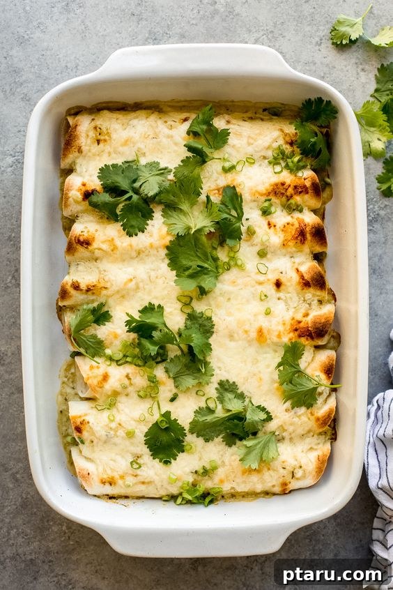 Fast and Healthy Ground Chicken Meals 21 Ground Chicken Enchiladas