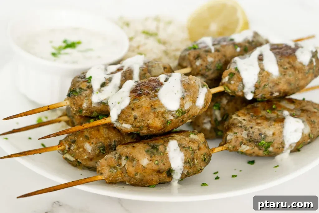 Fast and Healthy Ground Chicken Meals 23 Chicken Kofta