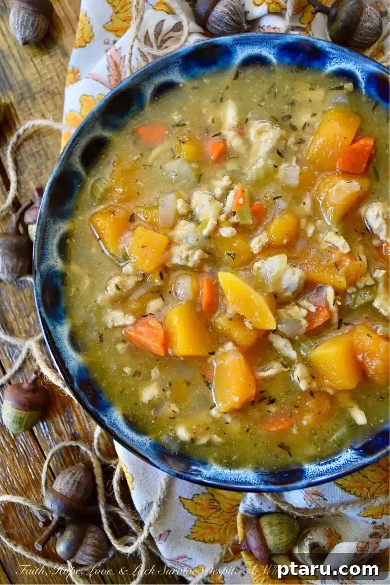 Fast and Healthy Ground Chicken Meals 34 Chicken Butterut Soup