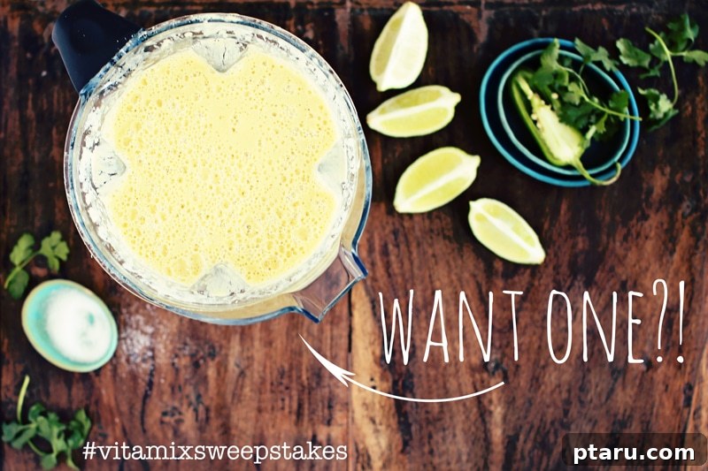 Creamy Coconut Corn Chowder 3 Vitamix blender showcasing its sleek design on a modern kitchen counter