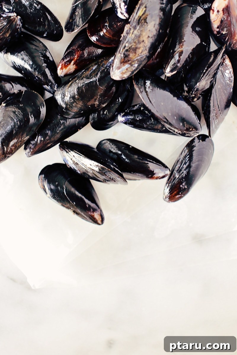 Beer-Kissed Mussels 3 A close-up shot of freshly steamed mussels in a bowl.