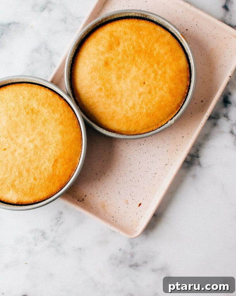 Velvety Moist Vanilla Cake 7 Best Moist Vanilla Cake