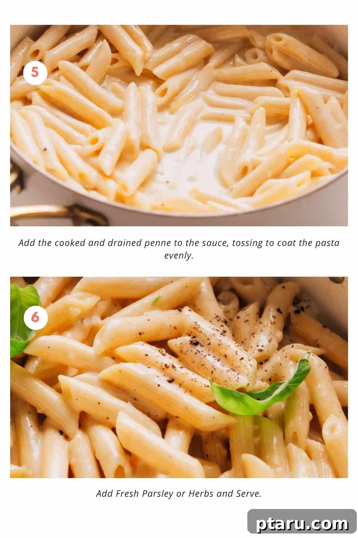 The Easy Penne Alfredo You'll Make Every Week 6 Penne pasta tossed in creamy Alfredo sauce, ready to be served.
