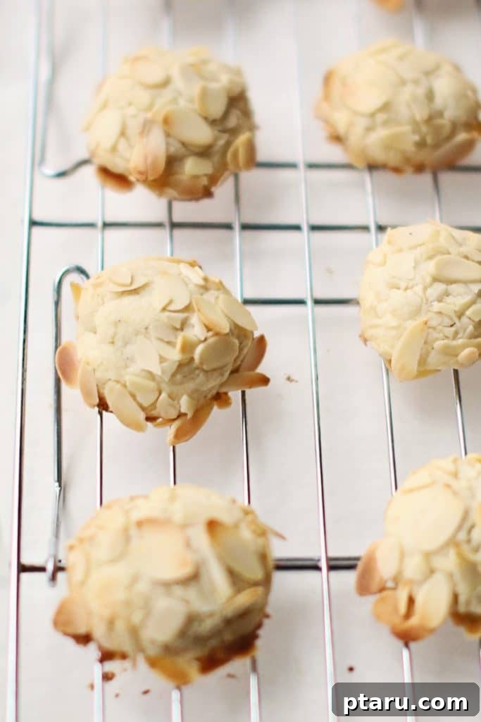 Easy Indian Desserts and Sweets: Crowd-Pleasing Showstoppers 8 Delicate Cardamom Almond Cookies arranged on a plate, perfect for tea-time.