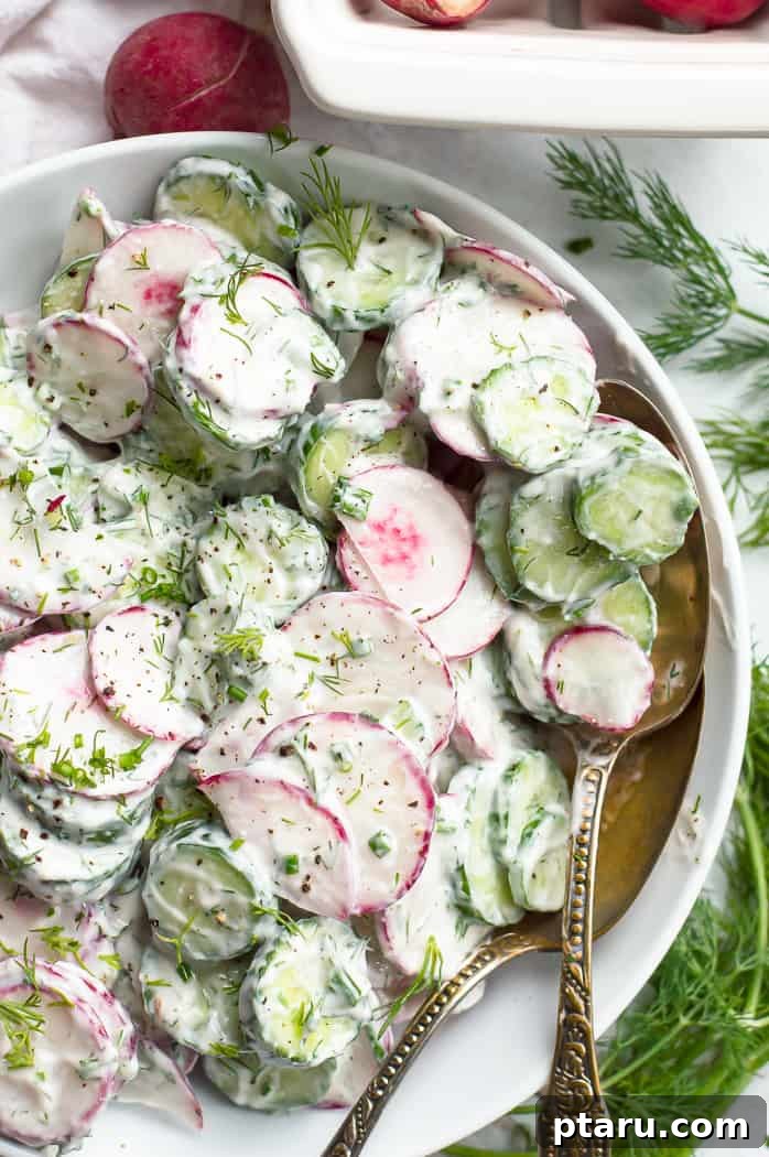 Your Ultimate Guide to Salmon Side Dishes 28 Crisp Cucumber and Radish Salad coated in a creamy dressing.
