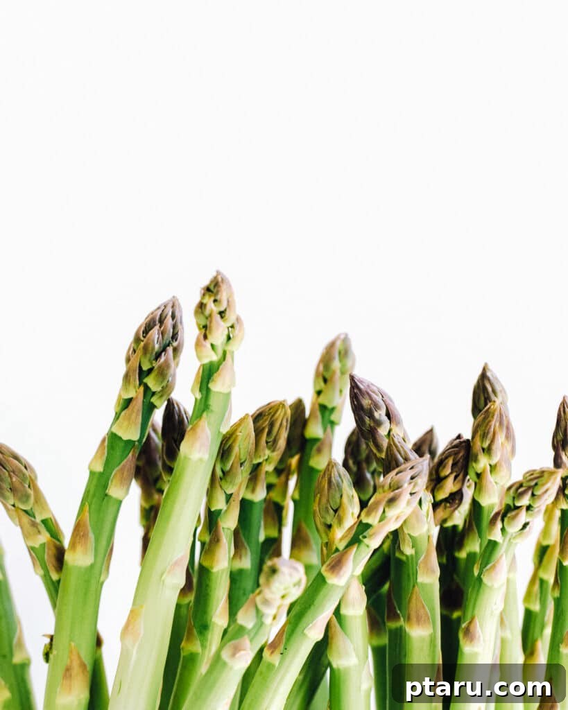 Your Ultimate Guide to Salmon Side Dishes 4 How to Cook Asparagus in a Pan, showing perfectly cooked green spears.