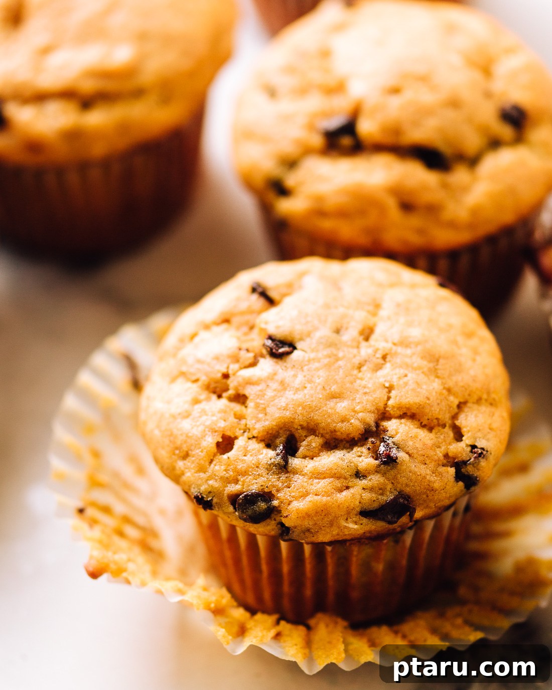 Irresistibly Soft Pumpkin Chocolate Chip Muffins 4 A close-up photograph of a single perfect Pumpkin Chocolate Chip Muffin, showing its moist crumb and melted chocolate.