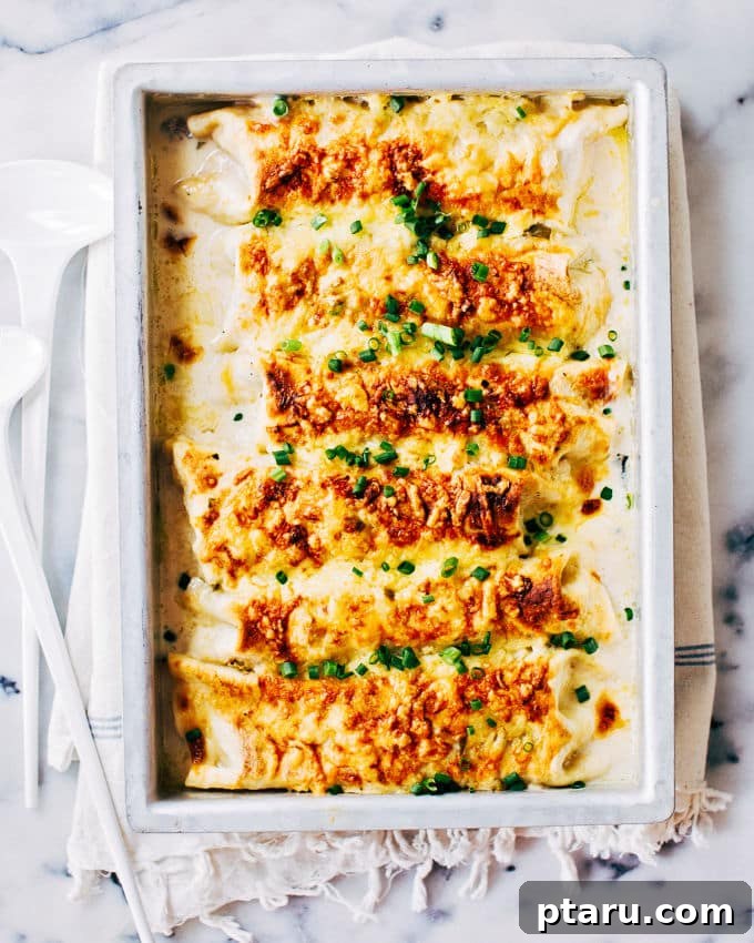 Creamy White Chicken Enchiladas 2 Golden-brown cheesy chicken enchiladas with a creamy white sauce, garnished with fresh herbs, ready to be served