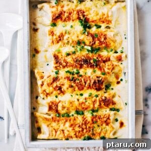 Chicken Enchilada with White sauce