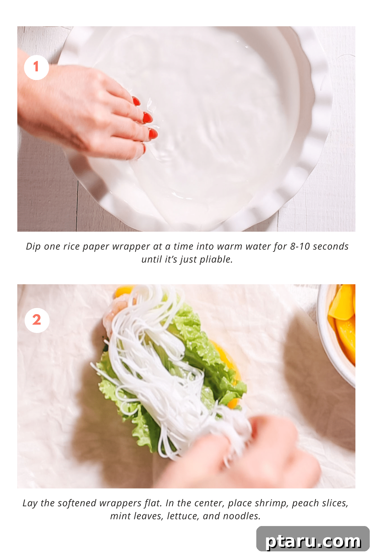 Fresh and Easy Homemade Spring Rolls 5 Step-by-step image showing cooked noodles and softened rice paper for spring rolls.