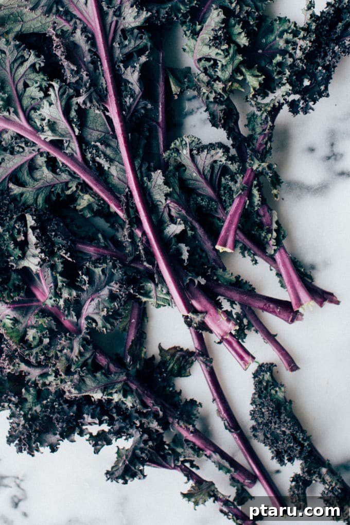 Elevated Kale Caesar 3 Close-up of shredded kale being massaged with Caesar dressing