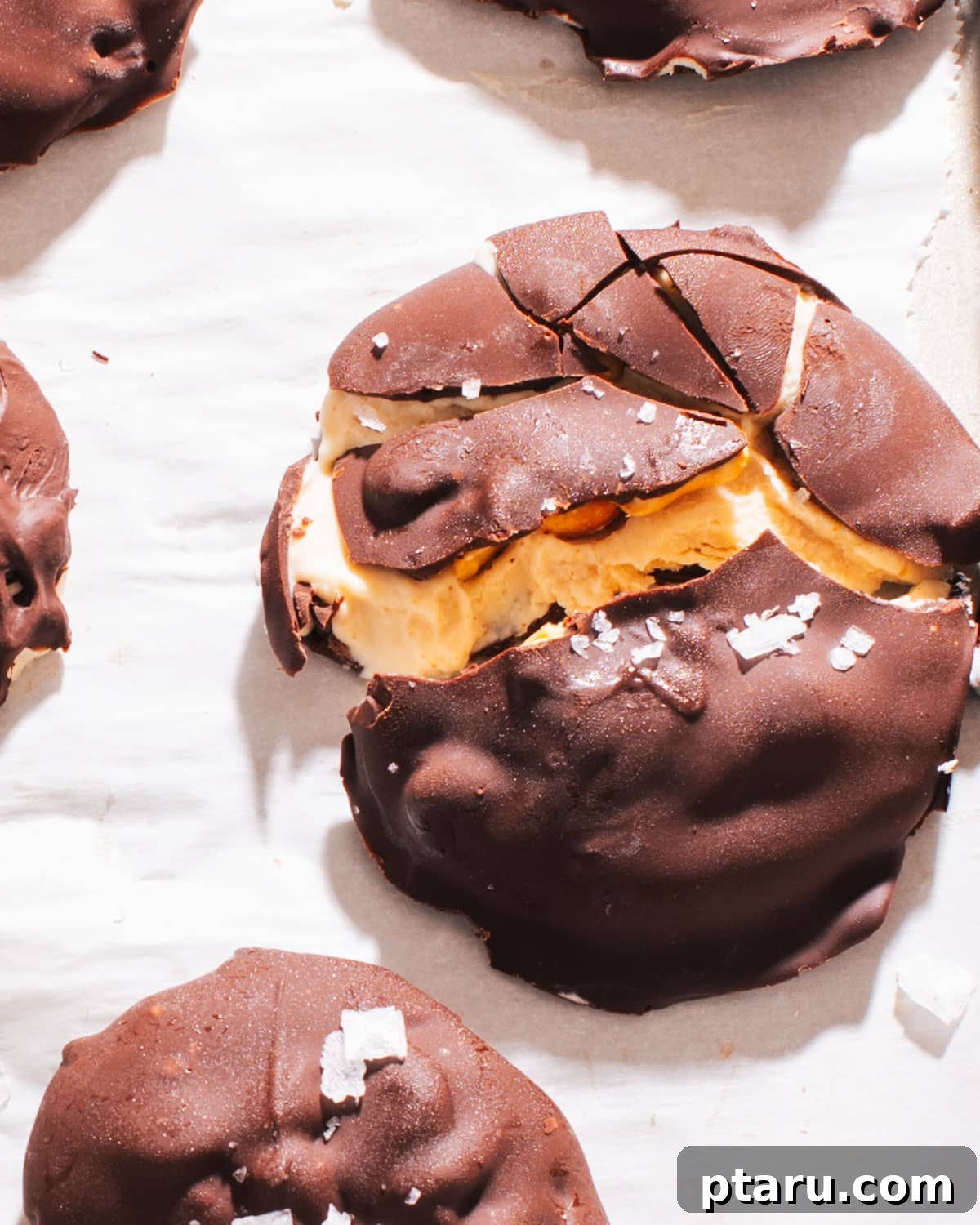 Frozen Peanut Butter Chocolate Greek Yogurt Bites 2 Delicious Peanut Butter Frozen Yogurt Bites with a creamy center and chocolate coating