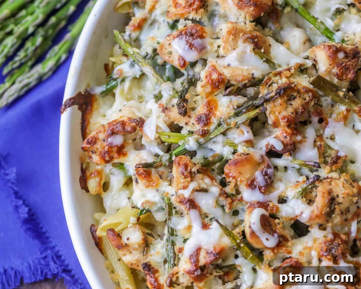 Chicken Pasta Bakes You Cant Get Enough Of 13 Savory Chicken and Asparagus Pasta Bake with a crunchy topping.