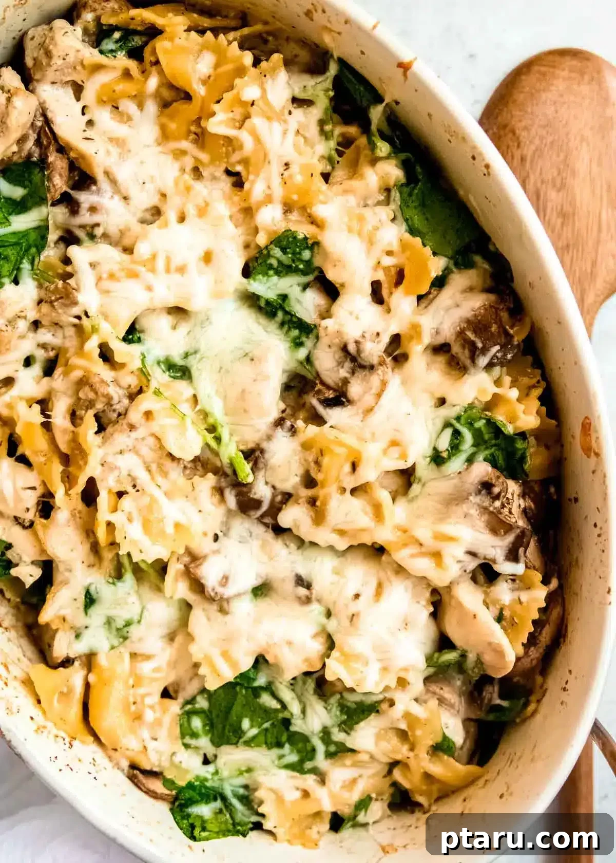 Chicken Pasta Bakes You Cant Get Enough Of 16 Comforting Chicken and Mushroom Pasta Bake.