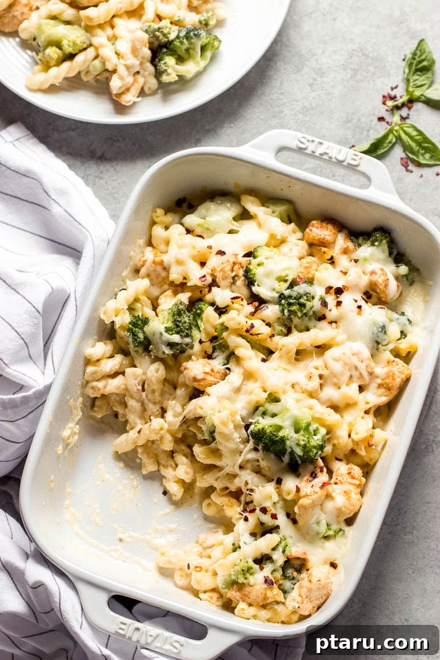 Chicken Pasta Bakes You Cant Get Enough Of 3 Hearty Chicken Broccoli Pasta Bake with melted cheese.