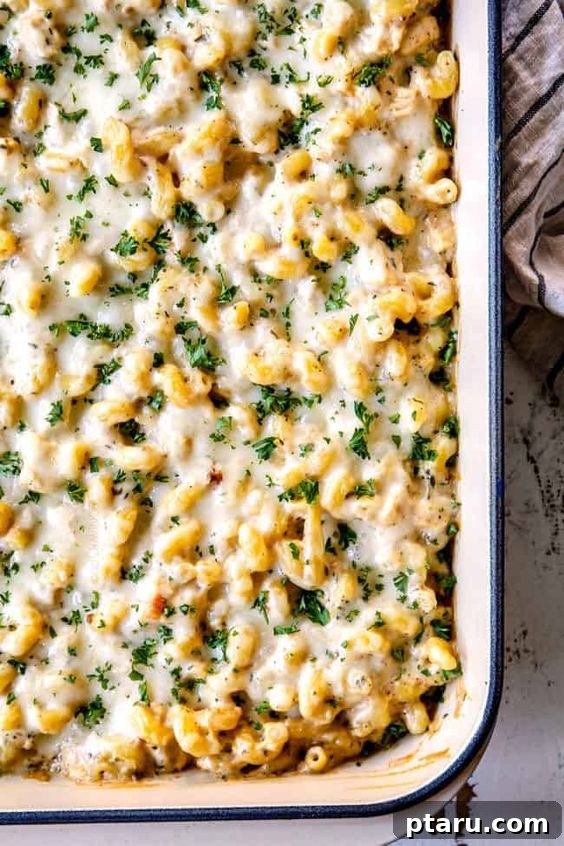 Chicken Pasta Bakes You Cant Get Enough Of 6 Rich and creamy Baked Chicken Pasta Alfredo.