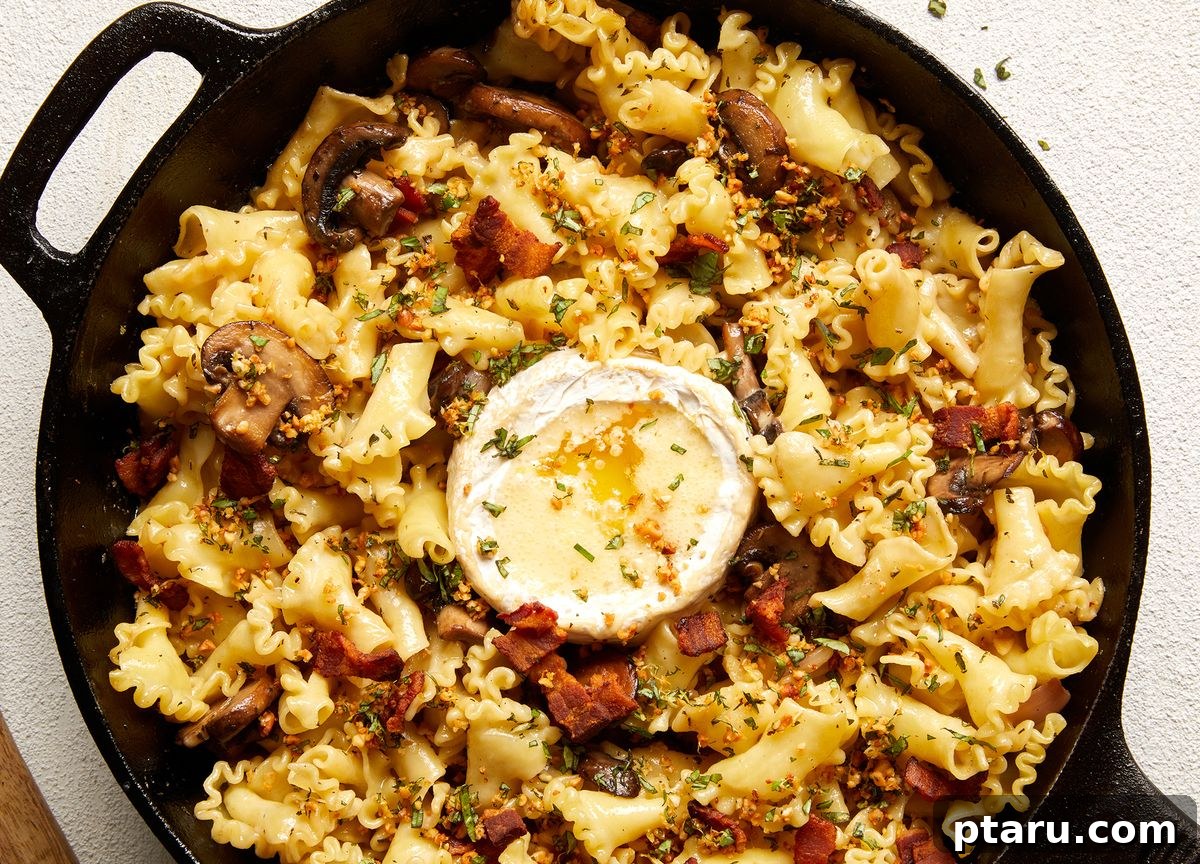 Beyond Basic The Webs Most Unique Pasta Creations 21 Luxurious baked brie pasta generously coated with a creamy sauce and hints of cranberry.