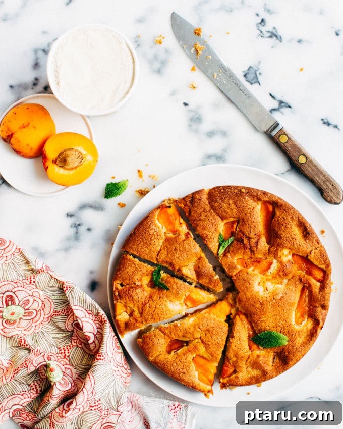 Golden Apricot Buttermilk Cake 3 A slice of Buttermilk Apricot Cake, showing its tender crumb and apricot pieces