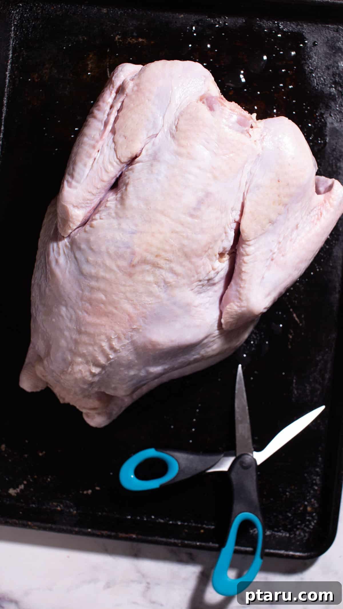 Foolproof Spatchcock Turkey 3 Spatchcock turkey preparation step 1: removing the backbone.