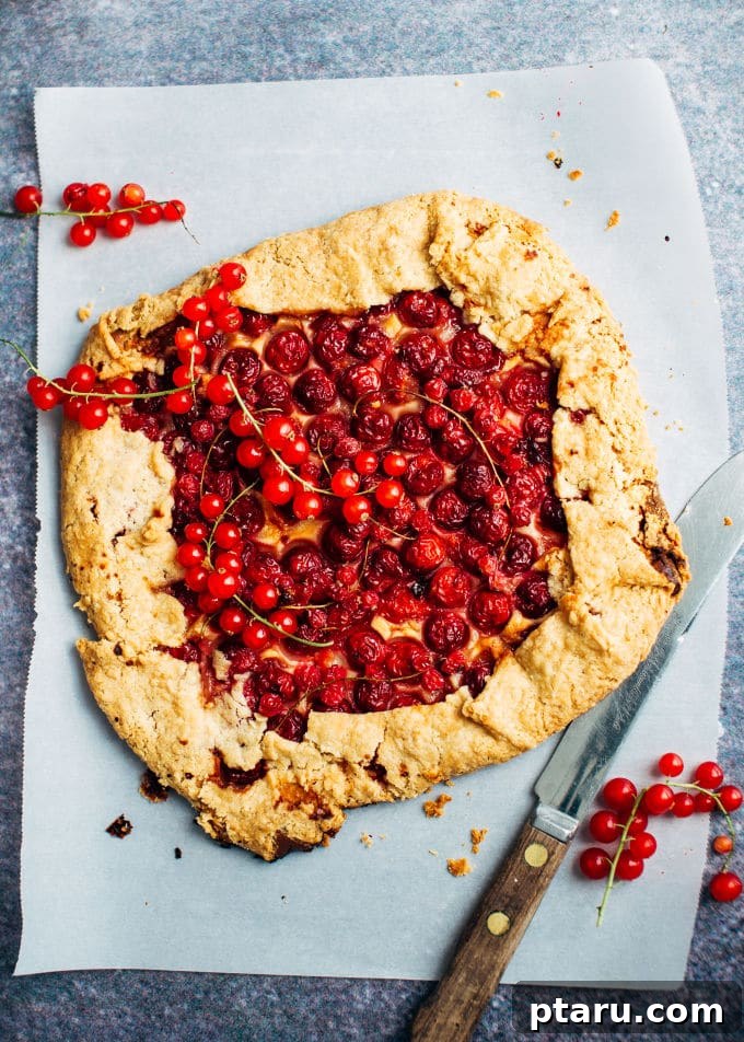 Rustic Cherry Almond Galette 3 Close-up of a rustic cherry almond galette, showcasing the bubbly cherry filling and golden frangipane layer