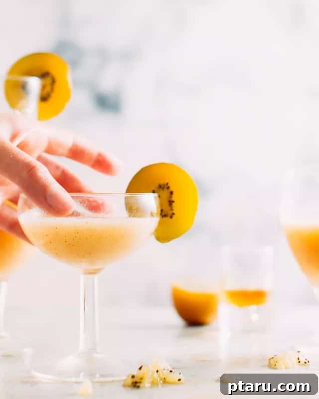 Golden Kiwi Bourbon Sour 5 A close-up of a golden kiwi cocktail with a substantial kiwi slice on the rim as garnish.