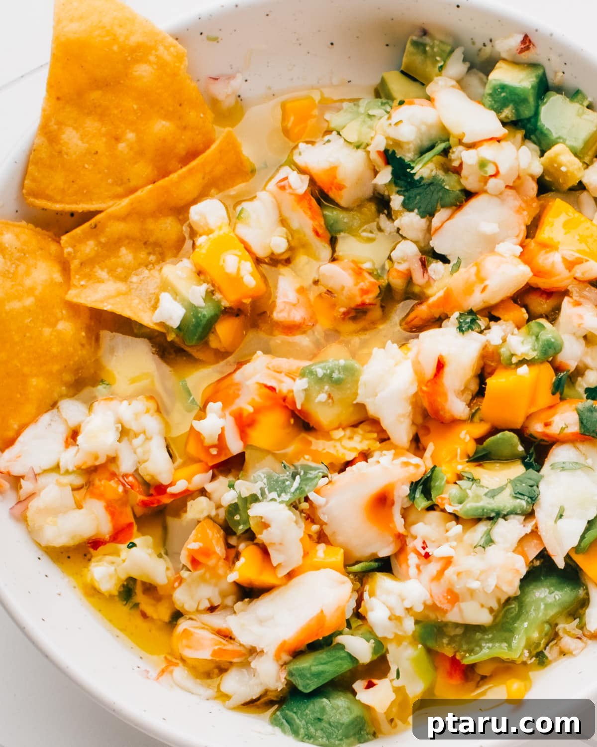 20+ Guilt-Free Shrimp Recipes for Dinner: Absolutely Delicious! 9 Shrimp Aguachiles Closeup, with sliced cucumbers and red onion.