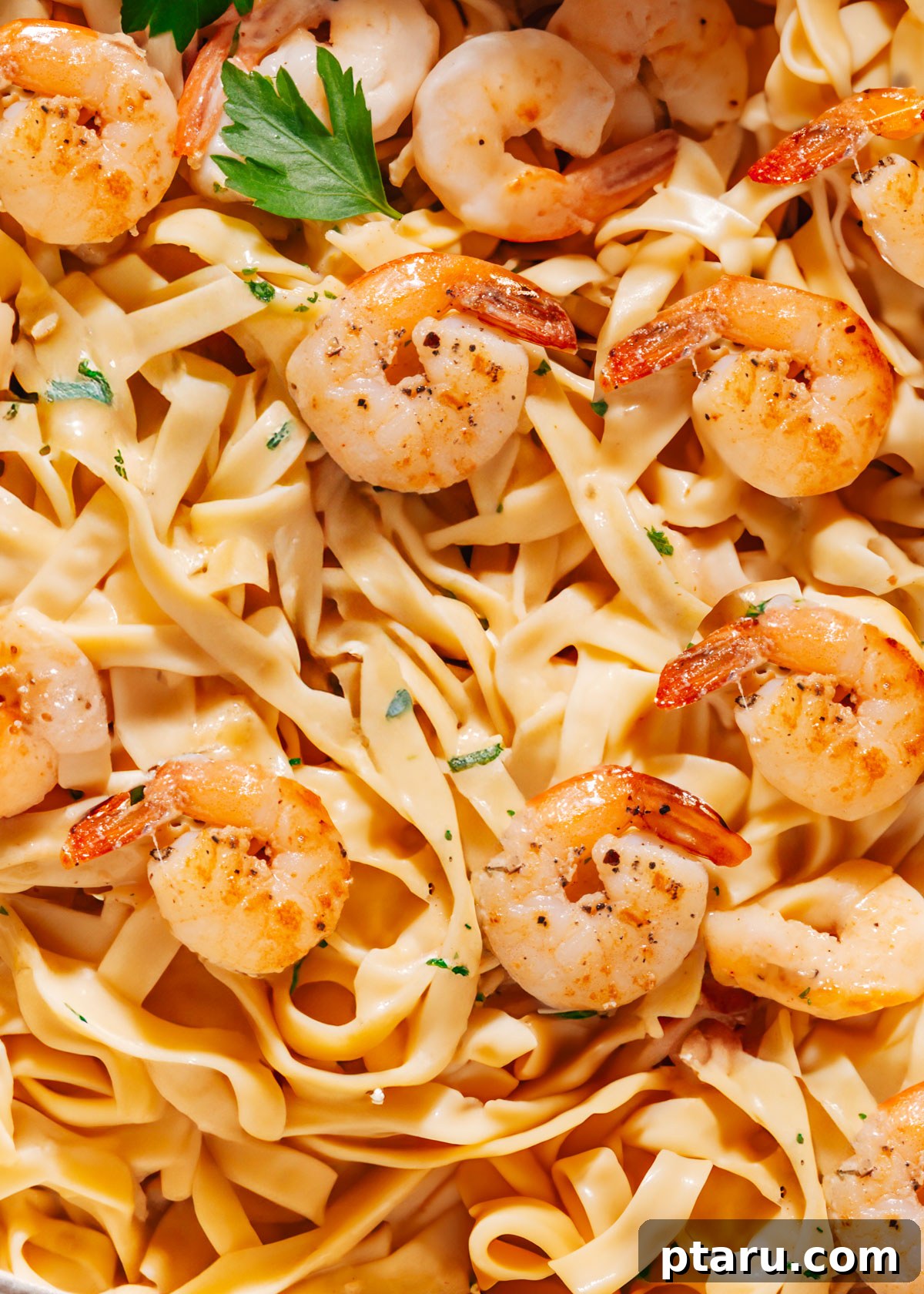 Zesty Lemon Cream Shrimp Pasta 3 Close-up photo of creamy shrimp pasta, showcasing the juicy shrimp, vibrant sauce, and fresh garnishes.