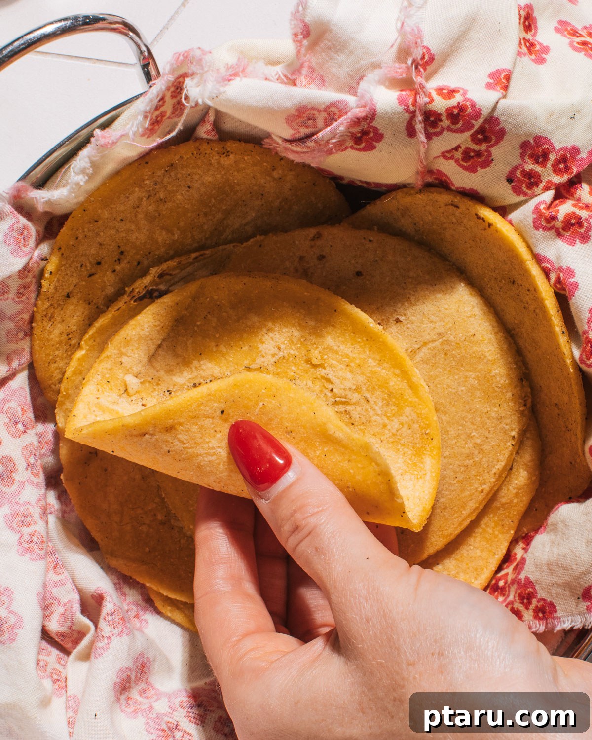 Perfectly Soft Homemade Corn Tortillas Made Easy 6 A hand holding a perfectly cooked homemade corn tortilla, showcasing its softness and flexibility