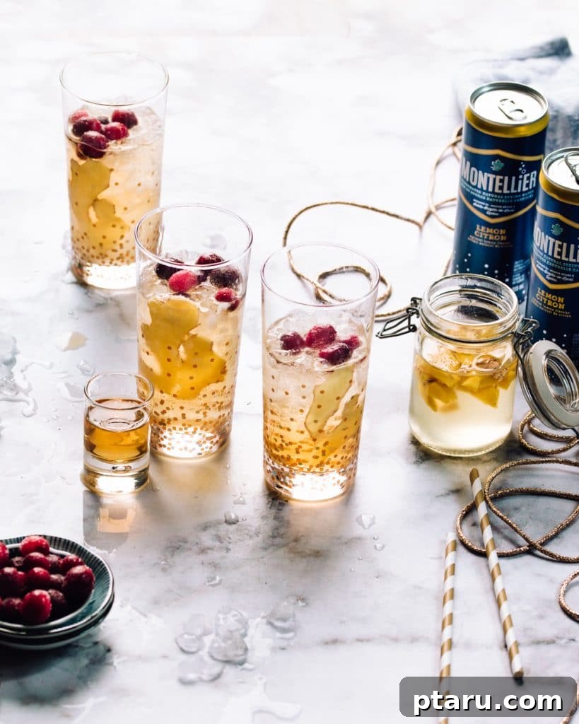 The Ultimate Guide to Indian Beverage Recipes 13 Montellier Ginger Cocktail, featuring a refreshing blend of ginger and other ingredients.