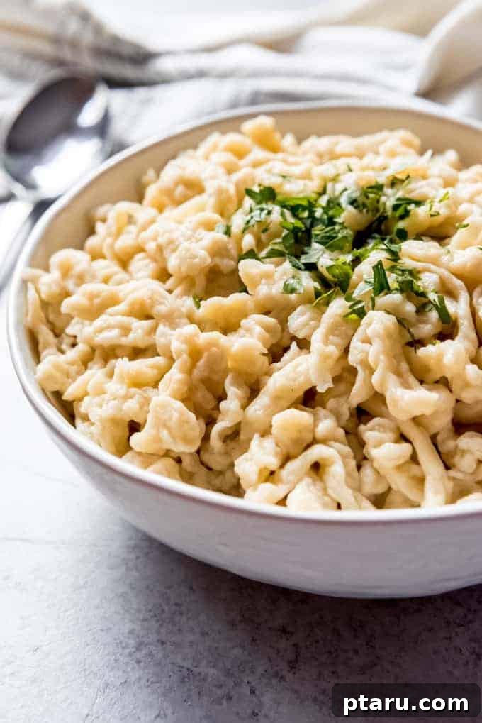 Delicious German Noodle Dishes 2 Easy Homemade Spätzle