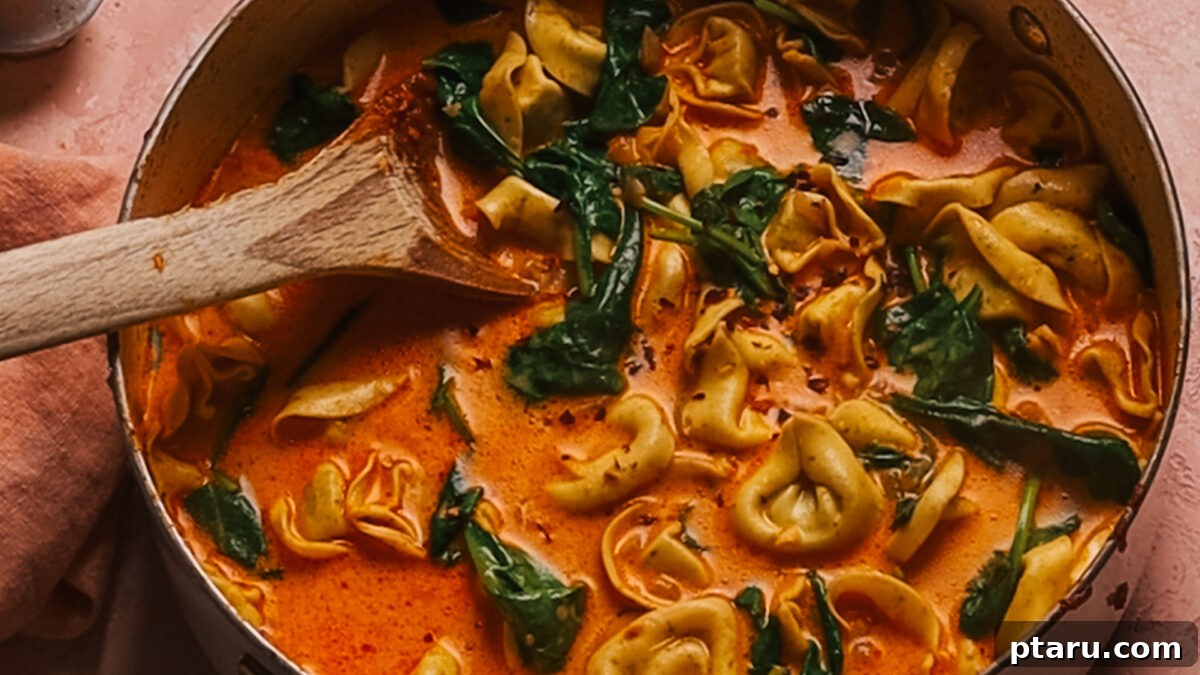 30 Minute One Pot Creamy Tortellini Soup 9 Step 6: Final creamy tortellini soup, garnished and ready to serve.