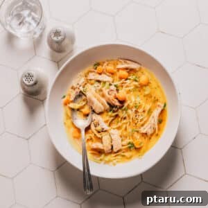 Best Ever Quick Instant Pot Chicken Soup 8 Instant Pot Chicken Soup.