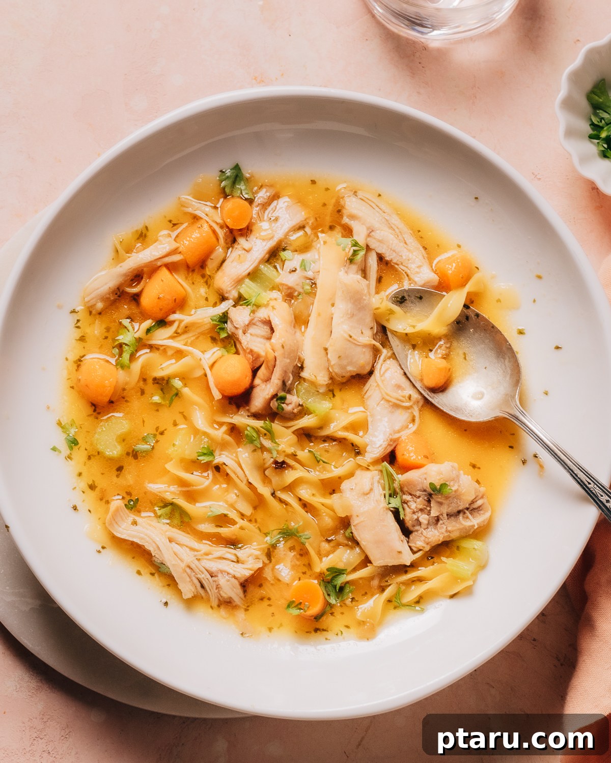 28 Plus Healthy Chicken Recipes Made Easy Delicious and Dietitian Endorsed 21 Crockpot Chicken Noodle Soup in a cozy bowl, ready to be enjoyed.