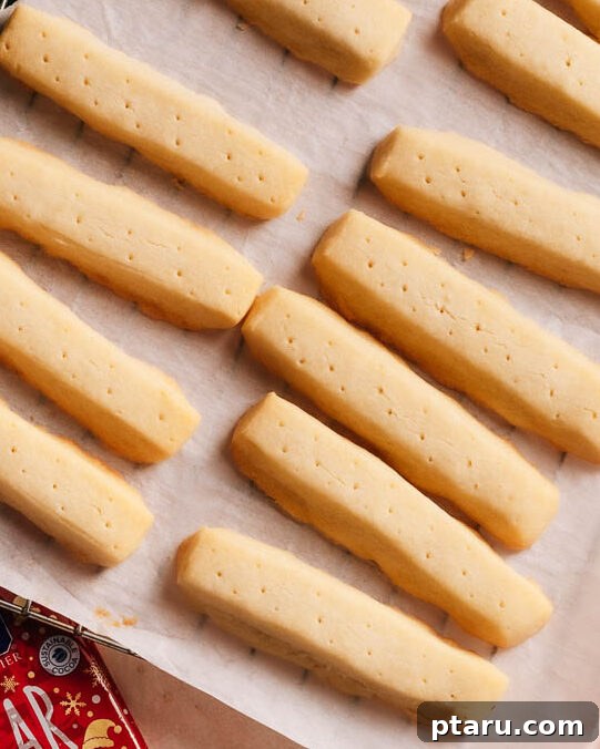 Effortless One Bowl Chocolate Dipped Shortbread 6 Step 3: Pricking and chilling shortbread dough before baking.