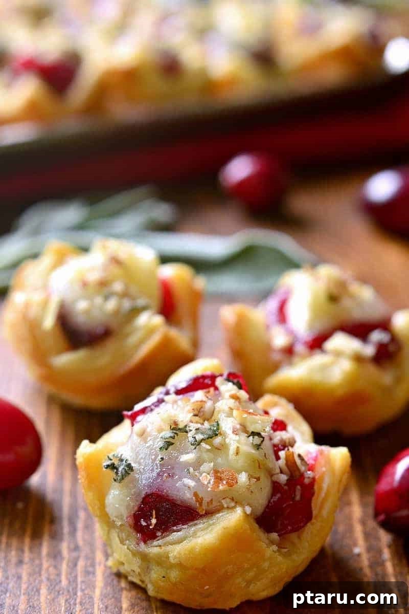 Over 40 Easy Christmas Bites Your Guests Will Devour 26 Chicken Cranberry Tartlets