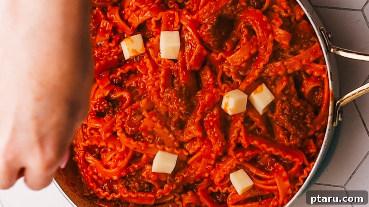 Sauce Simmered Pasta Perfection 11 One-pot pasta finished with melted mozzarella cheese cubes on top.