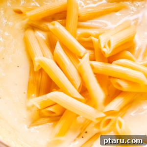 Instant Pot Pasta
