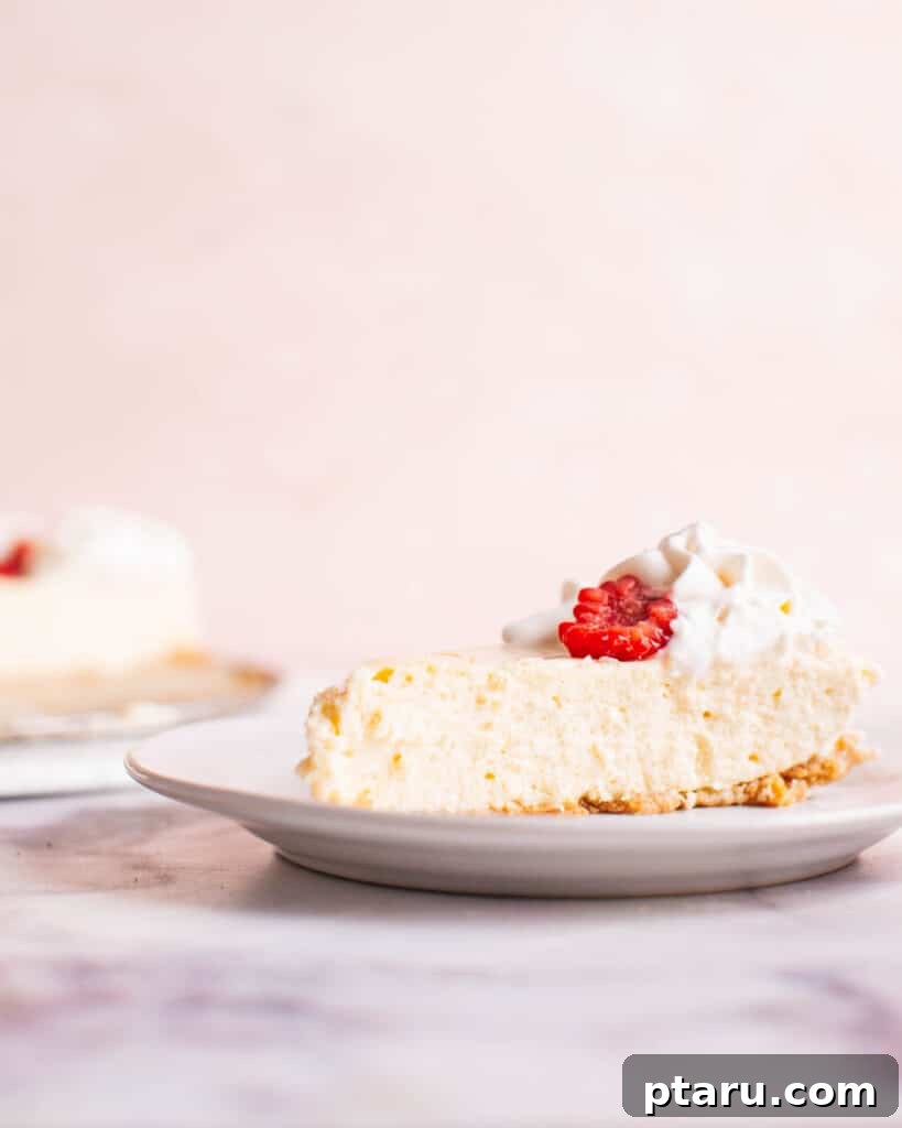 Perfect Graham Cracker Crust 12 A slice of cheesecake showcasing a perfectly firm and golden graham cracker crust.