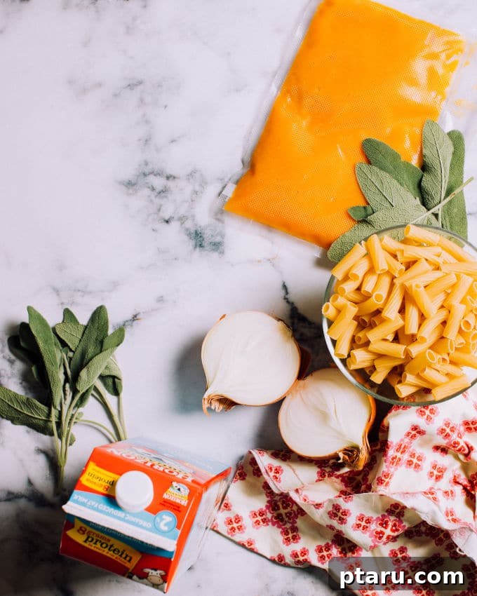 Velvet Pumpkin Pasta with Crispy Sage 3 All the fresh ingredients for Creamy Pumpkin Pasta Sauce laid out beautifully on a kitchen counter, including pasta, pumpkin puree, butter, herbs, and cheese.