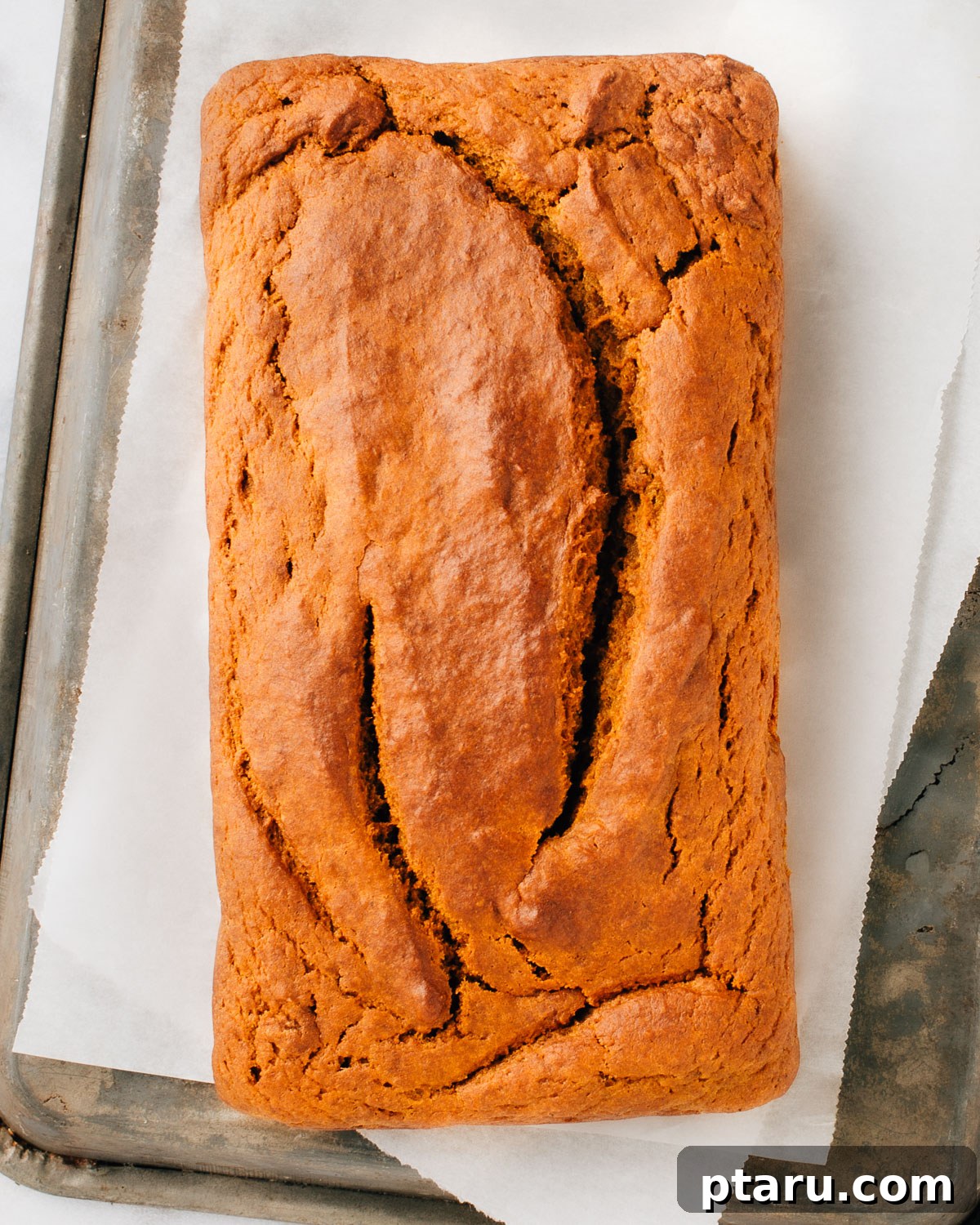Soft and Moist Pumpkin Banana Bread 8 Freshly baked pumpkin banana bread cooling on a wire rack.