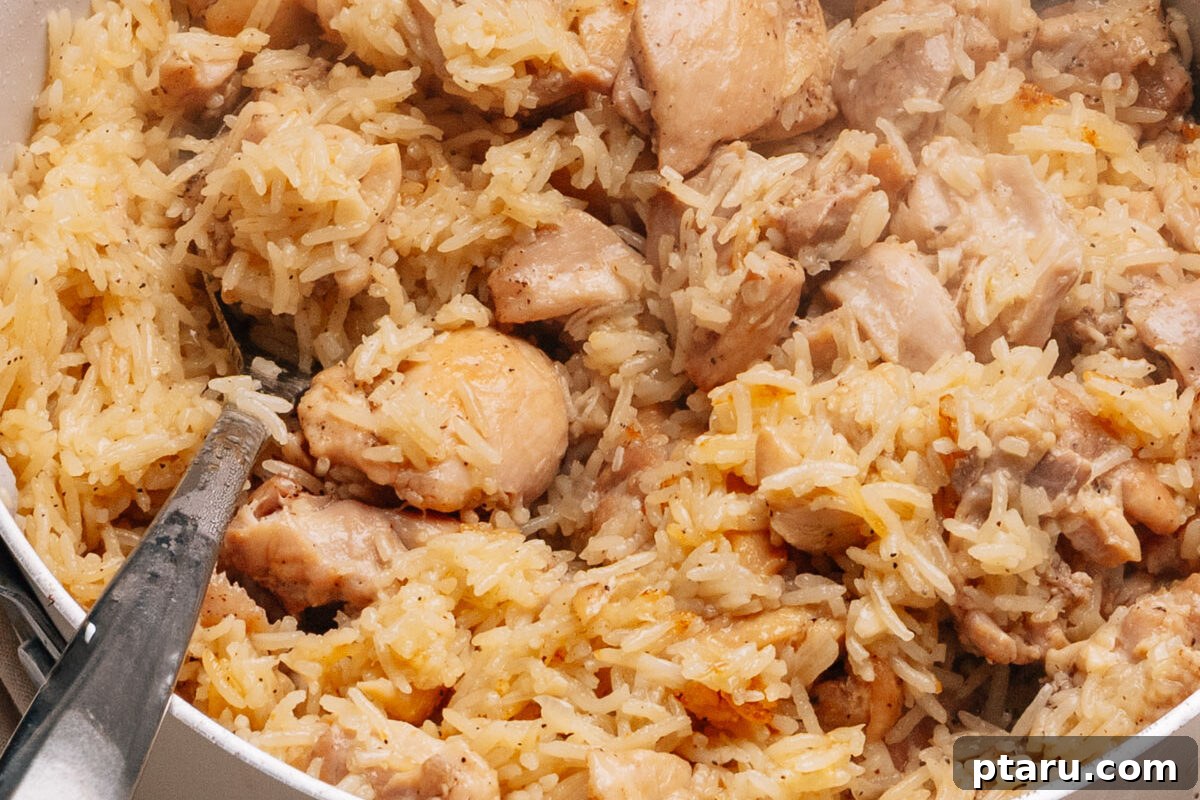 Savory One-Pot Chicken and Rice 10 A close-up of the finished chicken and rice dish in the skillet, showcasing fluffy rice and tender chicken, ready to be served.