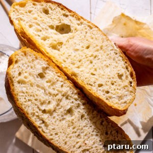 Photo of the interior of dutch oven bread, with the loaf cut in half.