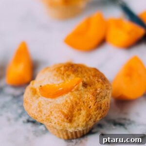 A beautifully presented apricot muffin, showing its soft interior and fruit pieces.