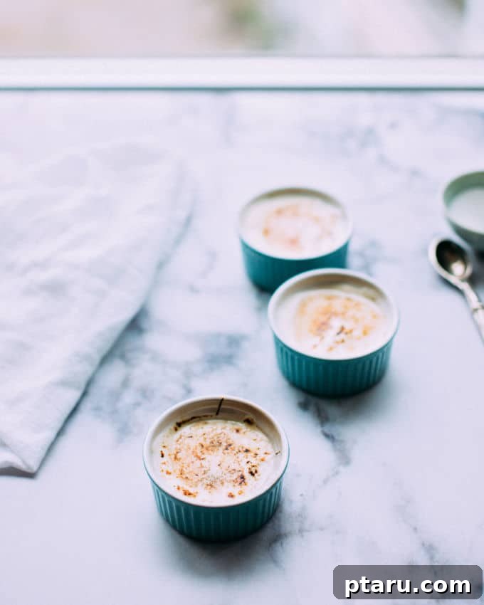 Golden-Topped Yogurt Treat 5 Ingredients for a delightful Yogurt Brulee: a bowl of creamy Greek yogurt and a sprinkle of granulated sugar, ready for caramelization.