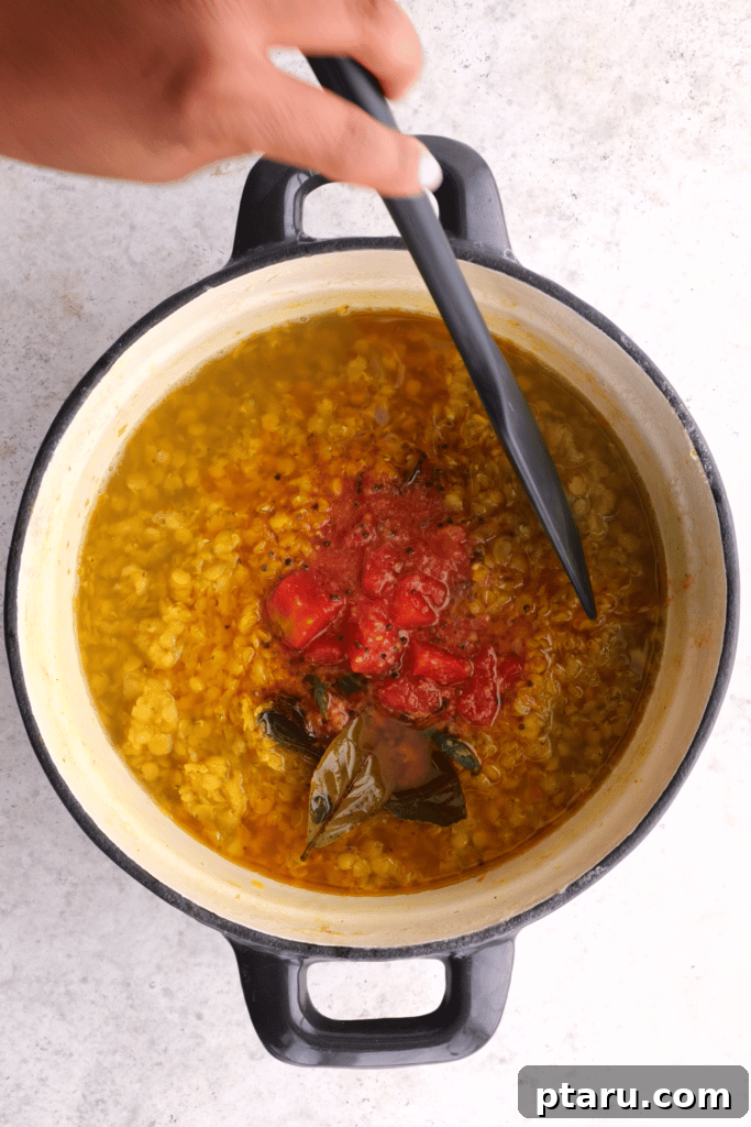 Spiced Masoor Dal Curry 8 South-Indian Red Lentils being stirred in a pot, showing a creamy texture.