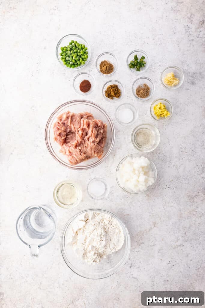 Crispy Chicken Samosas 3 Ingredients laid out for Samosa Dough and Chicken Samosa Filling
